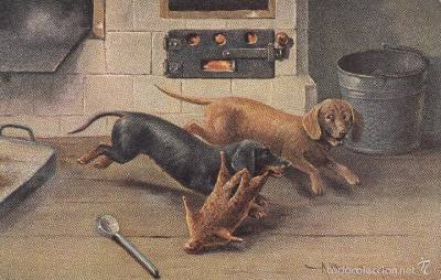 perros jugando en cocina